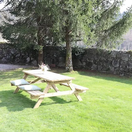 Cazal Da Lamella * فافي