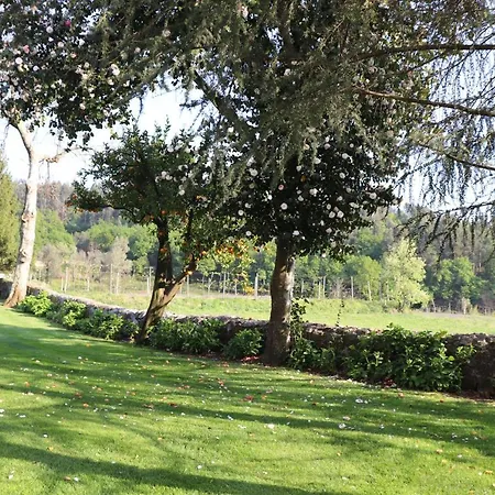 Cazal Da Lamella * فافي