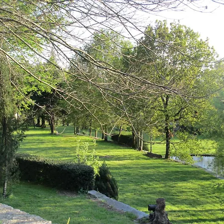 Cazal Da Lamella * פאפה