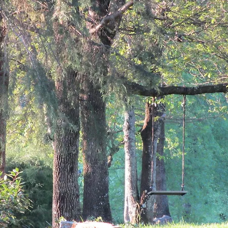 Cazal Da Lamella Fafe