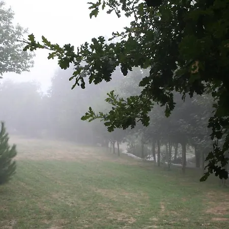 Venkovský dům Cazal Da Lamella Fafe