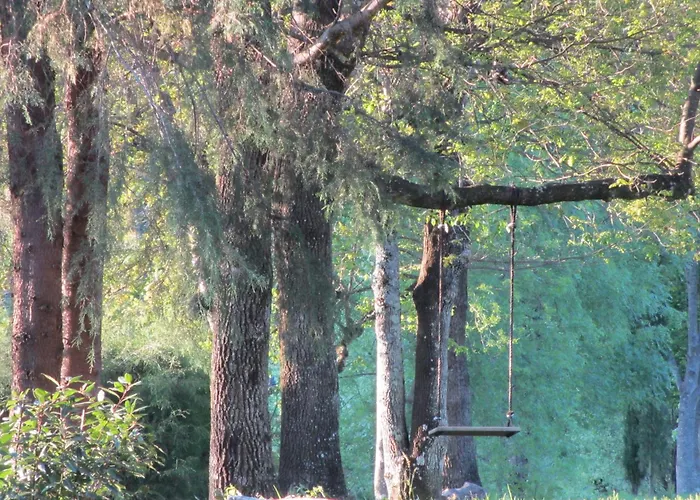 Cazal Da Lamella Fafe