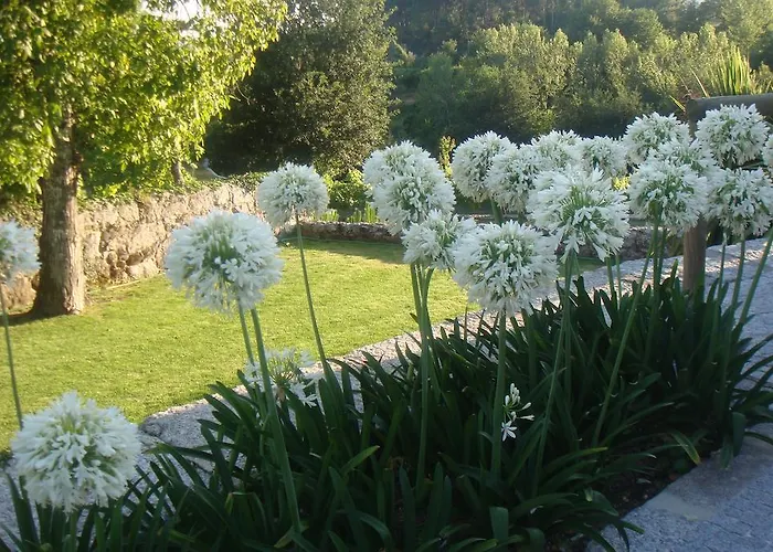 Gospodarstwo wiejskie Cazal Da Lamella *