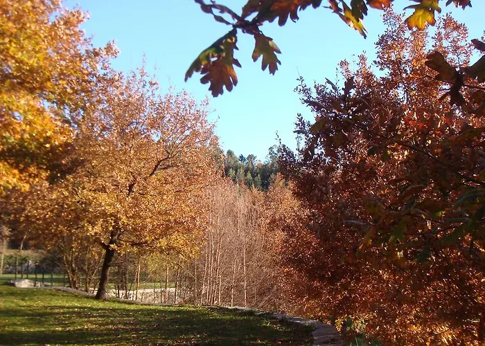 Gospodarstwo wiejskie Cazal Da Lamella *